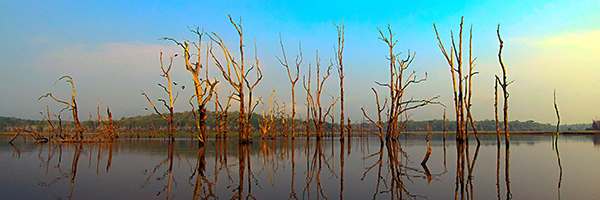 WS Kabini-43 WS Kabini-43